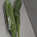 Fake Ferns, 35IN Large Fake Bush Plants, 2 Artificial Boston Ferns with 39 Fronds for Outdoor Hanging Planter Garden Porch Entrance Home Decor