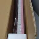 Vangoa VGK610 Piano Keyboard, 61 Mini Keys Portable Music Keyboard for Beginners with Microphone, 3 Teaching Modes, 350 Tones, 350 Rhythms, 30 Demos, Pink