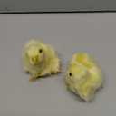 Pack of 2 Realistic Yellow Furry Baby Chicks Lifelike Fur Farm Animal Models Spring Photo Props Easter Basket Stuffers Decoration Store Home Chickens Ornaments