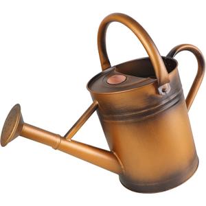 1 Gallon Metal Watering Can for Outdoor Garden, Plant & Flower Watering Pot for Gardening Bonsai Water Bucket with Sprinkler Head