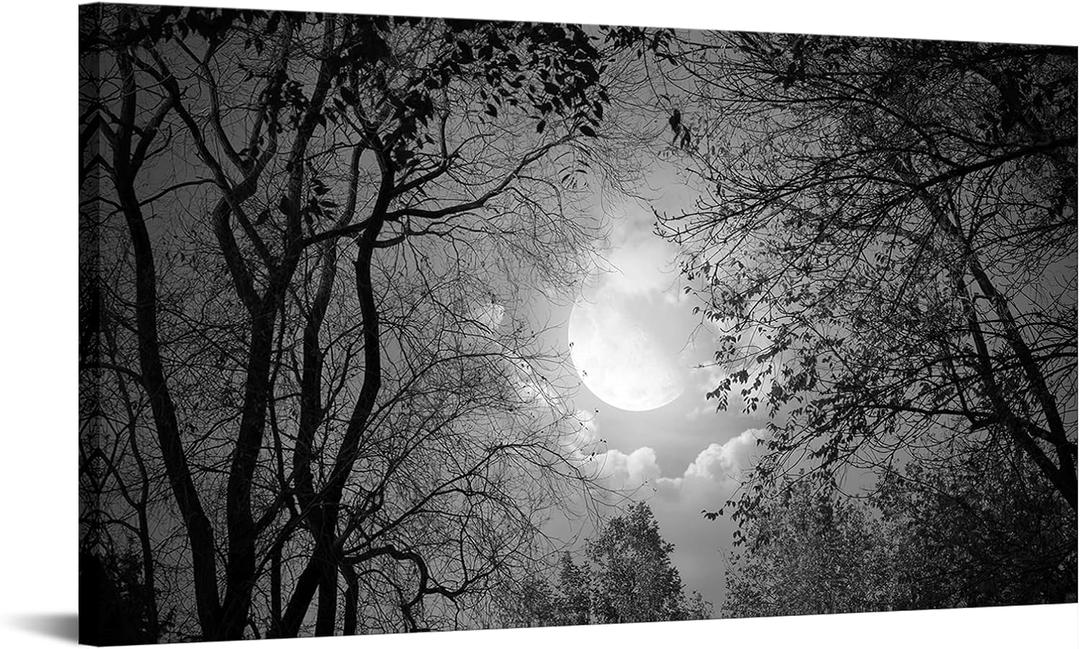 Visual Art Decor Black and White Full Moon Picture Wall Decor Nature Forest Landscape Wall Art Night Scenery Art Print Framed Ready to Hang, 20inchx36inch