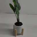 4in Verigate Greenery