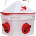 RentACoop Chick2Chicken 10lb BPA-Free 4-Port Feeder - Includes Anti-Roost Cone, Slider Port Cover, and Lid - Suitable for up to 20 Chicks & 12 Adult Chickens