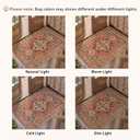 Tangsoo Boho 3x10 Runner Rug for Hallway Long Washable Hallway Runner Rugs, Non Slip Vintage Soft Low Pile Rug Runner, Oriental Terracotta 10ft Carpet Runners for Living Room Kitchen Bedroom Entryway