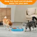 Outdoor Heated Dog & Cat Bowl - Smart Thermal-Dish for Pets, Provides Drinkable Water & Food in Winter (116 OZ)