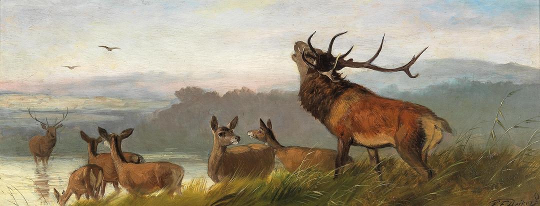 SERIMINO Animal Deer Vintage Wall Art for Living Room, Meadow Landscape Canvas Prints, Retro Large Wall Decor, Nature Scenery Canvas Prints, Farmhouse Home Decor for Bedroom, 20x40 Inch