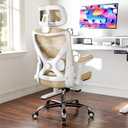 Ergalithic Office Home Ergonomic Desk Chair-Computer X-Shaped Chair Mesh PU Leather with Adjustable Lumbar Support-Executive Chair High Back with Headrest Flip-Up Arms for Long Hours (Khaki), 24.8" W x 25.6" D x 47.24" H
