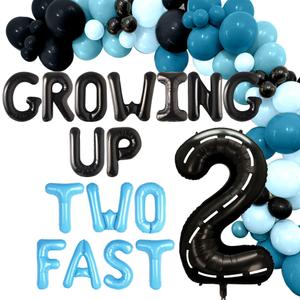 Two Fast Birthday Decorations Growing Up Two Fast Birthday Decorations Boy