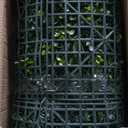 Artificial Plant Wall Panels: 70"120" UV-Anti Faux Grass Wall Backdrop Boxwood Ivy Fence Privacy Screen Fake Greenery Leaf Hedge for Outdoor,Indoor,Garden,Backyard and Home Decor