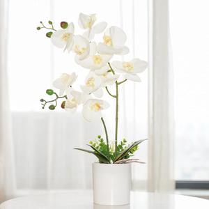 Ohmywor Artificial Orchid Flower Potted, 16.9" White Orchid in Pot Faux Plant with 2 Stems Artificial Phalaenopsis in Plastic Pot for Home Table Centerpiece Wedding Decoration Ohmywor Artificial Orchid Flower Potted, 16.9" White Orchid in Pot Faux Plant with 2 Stems Artificial Phalaenopsis in Plastic Pot for Home Table Centerpiece Wedding Decoration
