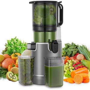 Juicer Machines, 5.4" Extra Large Feed Chute Fit Whole Fruits & Vegetables, Slow Masticating Cold Press Juicer Easy to Clean, 250W, High Juice Yield