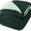 Exclusivo Mezcla Reversible Twin Size Sherpa Blanket, Thick and Warm Fleece Blankets for Winter, Soft Plush Fluffy for Bed, 60x80 Inches, Forest/Mint Green
