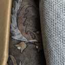 8x10 Washable Rugs for Living Room, Soft Large Rugs Brown Area Rug, Indoor Vintage Carpet for Bedroom Dining Room Office, Rubber Backed Non Slip Low Pile Mat, Dark Brown