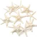 12 PCS Starfish | 2.5-6 Inch Starfish Decor | Natural Bulk Starfish Shells Perfect for Crafts Making Beach Theme Party Wedding Decoration, Home Wall Decor, Christmas Ornaments, Fish Tank