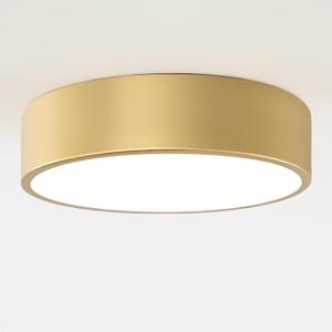 Modern Gold Flush Mount Light, 12 Inch 2-Light Round Close to Ceiling Fixture, Minimalist Lamp for Foyer, Hallway, Kitchen Island, Bedroom, Laundry, Bathroom (Gold 11.8in)