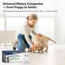 Probiotics for Dogs Dog Digestion Gut Probiotic Powder Cat Dog Probiotic Supplement Skin Coat Supplement for Dogs Digestive and Immune Support Digestive Enzymes with Chicken Flavor