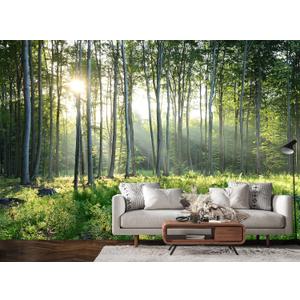 Sunshine Forest Peel and Stick Wallpaper Landscape Tree Wallpaper Large Nature Scenery Wall Mural for Living Room