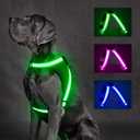 ChalkLit Light Up Dog Harness, No Pull Led Dog Harness Glow-in-The-Dark for Night Walking, USB Rechargeable Lighted Safety Vest for Medium Large Dogs, Adjustable Soft Mesh Fully Illuminated(Green, L)