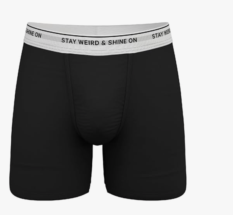 Shinesty Hammock Support Mens Boxer Briefs | Underwear Flyless S