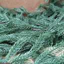 Hananona 2 Pcs 6 Ft Artificial Norfolk Pine Garlands, Real Touch Winter Pine Garland, Green Artificial Greenery Garland for Table, Mantle, Wall, Indoor, Outdoor Christmas Decorations (2, 6 FT)