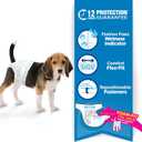 Four Paws Wee-Wee Super Absorbent Disposable Adjustable Dog Potty Training Diapers, Leak-Proof Protection for Dogs, Size Medium, 15" - 18" Waist, 12 Count