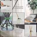 LOVSPA Vanilla Antilles Diffuser Oil - Luxury Essential Oils for Diffuser Refill & Air Freshener Room Spray - Long-Lasting & Natural Home Fragrance, Scented Oil for Diffusers, USA Made, 4oz