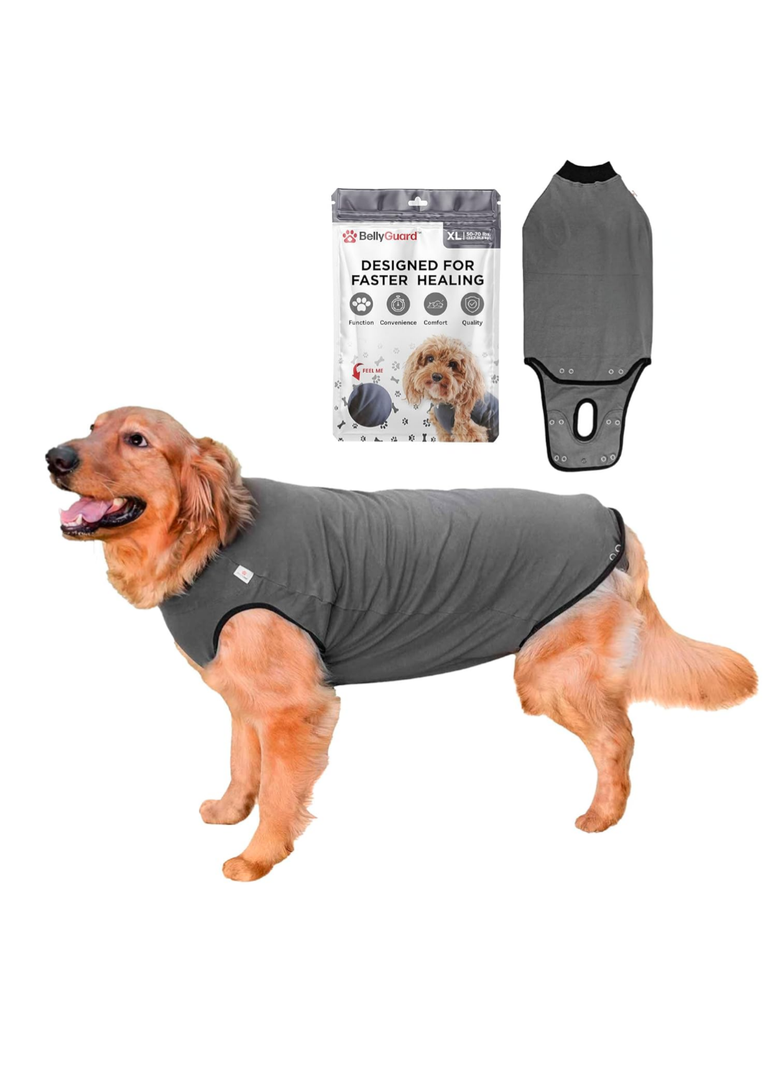BellyGuard Recovery Suit for Dogs, Comfy Dog Surgery Suit, Female Spay and Male Neuter Onesie for Post-Op Care Size XXL