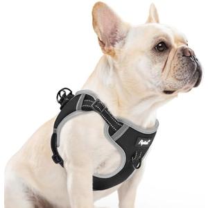 PUPTECK No Pull Dog Harness Small Medium Sized Dog, Adjustable Reflective Escape Proof Easy Control, Comfortable Soft Padded Step in Pet Vest Harness, Black, M PUPTECK No Pull Dog Harness Small Medium Sized Dog, Adjustable Reflective Escape Proof Easy Control, Comfortable Soft Padded Step in Pet Vest Harness, Black, M