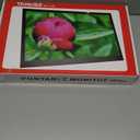 15.6" Portable Monitor,1080P HD USB-C HDMI Second External Monitor for Laptop,PC,Mac Phone,PS,Xbox,Swich,IPS Ultra-Thin Zero Frame Gaming Display(Inches, 15.6)