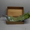 Artificial Ferns Bunch for Decoration of Home, Office, Living Room
