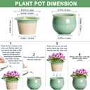 Ceramic Self Watering Planter, 8 Inch African Violet Pots, Green