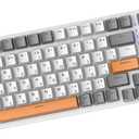 predolo Russian Mechanical Gaming Keyboard 100 Keys, Ergonomics,RGB, Backlit, USB Wired Plug and Play Durable Portable 98% Allocation for PC Laptop, Style E