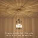 Black Gold Pendant Light Modern Glass Small 4-Light Pendant Chandelier 9.8'' for Kitchen Island Industrial Cage Ceiling Hanging Lighting for Dining Room Entryway Hallway