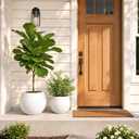 Round Planter Pots for Outdoor Indoor Plants(13" &10"), Set of 2 Lightweight Concrete Planters with Drainage Hole, Large Olive Tree Pots for Plants Front Porch, Patio, Home Decor - White, Medium