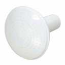 Watering Can Rose White