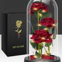 AKIYHT Glass Rose Mothers Day Flower Gifts for Mom from Daughter Son, Birthday Gifts for Women Mom Wife Girlfriend, Handmade Glass Roses Flowers Womens Gifts for, Anniversary, Womens Day, Mothers Day (Red)