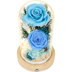 Flowers, Roses, GiftsFlowers Bouquet & Forever Flowers for Delivery Prime - Preserved Flowers Birthday Gift for Women, Valentine's, Mother's Day, Christmas Lasting Fresh Roses, Battery Included (Blue-Rose-led)