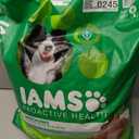 IAMS Proactive Health Adult Minichunks Premium Dry Dog Food, Adult Dog Food Dry Recipe, 30 lb. Bag, Best By 12/08/28