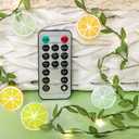 Lemon Decor String Lights with Remote Timer, 10FT 30 LED Lemon Fairy String Lights with 15 3D Colorful Lemon Slicer Lights, USB/Battery Operated Light String for Summer Garden Decor
