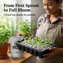 6 x Organic Perlite for Plants, Soil Amendment for Enhanced Drainage and Growth, Ideal for Potting Mixes (1 Quart)