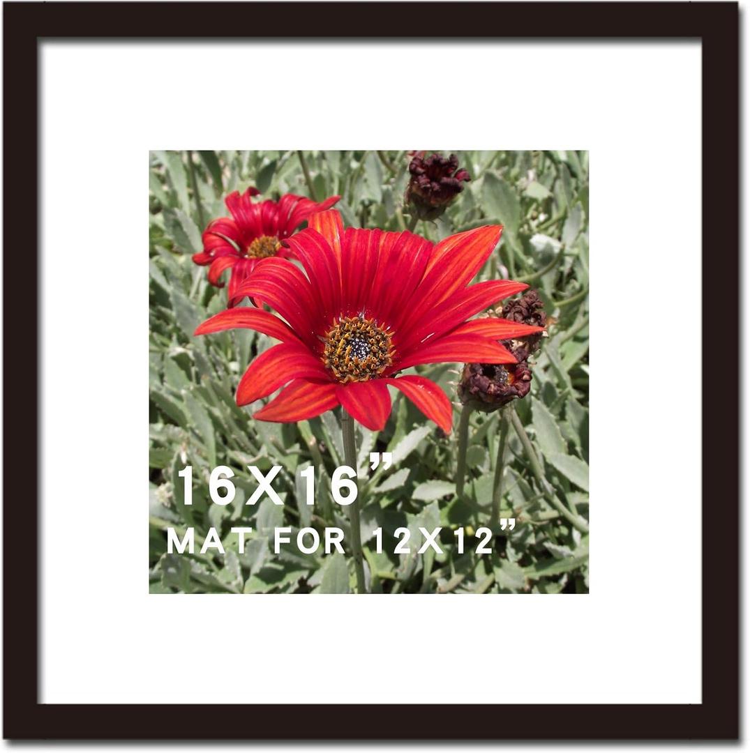 16x16 Picture Frame Black Solid Wood for Mat 12x12 Wall Mounting Square Poster Photo Frames