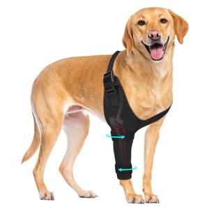 Dog Elbow Protector Brace, Dog Leg Sleeves Anti-Licking for Arthritis, Hygroma, Pressure Sores, and Calluses, Dogs Elbows Pads & Shoulder Brace for Elbow Dysplasia and Injury Recovery, Right 3XL