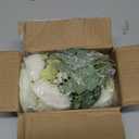 MARTINE MALL 2 Packs Peonies Artificial Flowers, White Artificial Peonies, Silk Peonies Flowers Fake Peonies Artificial Flowers Peonies Bouquet for Centerpiece Table Wedding Party Home Decor