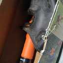 BLACK+DECKER String Trimmer, Electric, 14-inch (BESTE620)