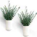 2 Pcs 5.9 Inch White Ceramic Wall Planter Modern Home Hanging Vase for Living Room Bedroom Bathroom Minimalist Indoor Ceramic Hanging Flower Vase for Dried Flowers Faux Greenery Plants