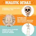 JOYIN 5 FT Halloween Skeleton Decor with Stand, Posable Life Size Skeleton, Full Body Realistic Bones with Movable Joints, Giant Skeletons Halloween Decorations for Indoor Outdoor Spooky Scene Decor