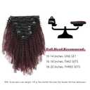 Afro Kinky Curly Clip in Hair Extensions Two Tone Omber Natural Black Fading to Cherry Wine 4B 4C Curly Clip in Hair Extensions 7 Pcs with 17 Clips 120 Grams 20 Inch (#1B/99J)