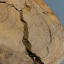 WELLAND Natural Cedar Stump Stool, 14" End Table, Live Edge Side Table, Plant Stand, Small Nightstand, Mushroom Stool for Living Room, Bedroom, Patio, Garden