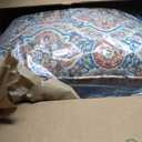 Arden Outdoor Foam Deep Seat Cushion Set (4-Pack), 24x24, Premium High-Density Foam, Never Flattens, Weather-Proof for Patio Chair Sofa Couch, Global Vintage Medallion
