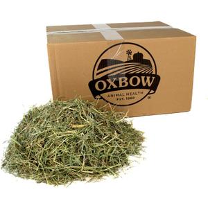 Oxbow Animal Health Orchard Grass, Guinea Pig Hay, Rabbit Hay, Small Pet Bunny Supplies, All Natural Grass for Guinea Pig, Bunny, Chinchilla & Hamster, Oxbow Rabbit Supplies, Grown in USA, 25 lb. (25 Pound (Pack of 1))